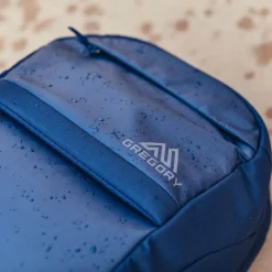 Discount Gregory Daypack - Resin - 22 Liter